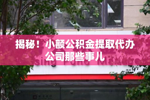 砀山揭秘！小额公积金提取代办公司那些事儿